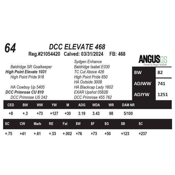 DCC ELEVATE 468