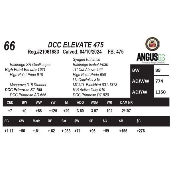 DCC ELEVATE 475