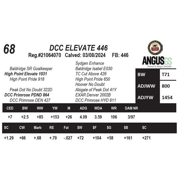 DCC ELEVATE 446