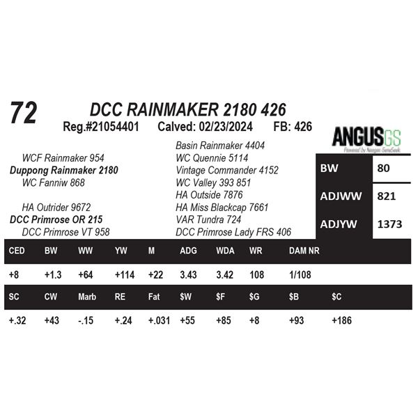 DCC RAINMAKER 2180 426