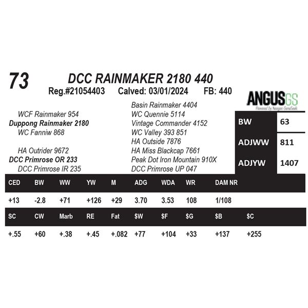 DCC RAINMAKER 2180 440