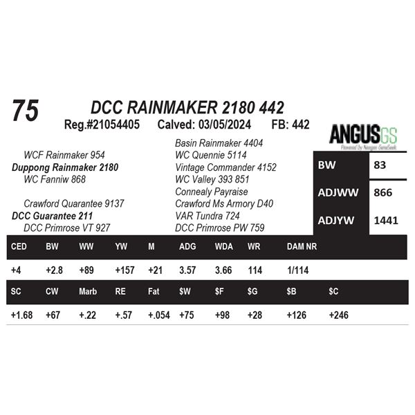 DCC RAINMAKER 2180 442