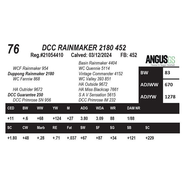 DCC RAINMAKER 2180 452