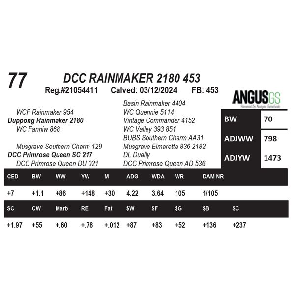 DCC RAINMAKER 2180 453