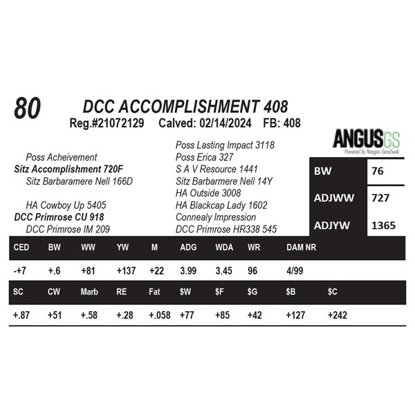 DCC ACCOMPLISHMENT 408