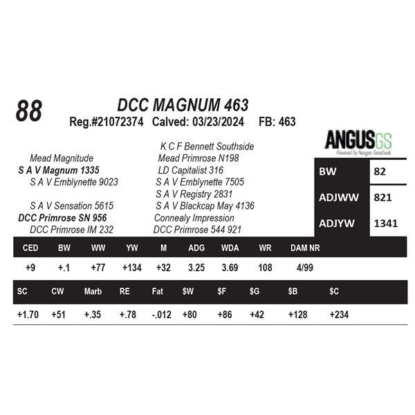 DCC MAGNUM 463