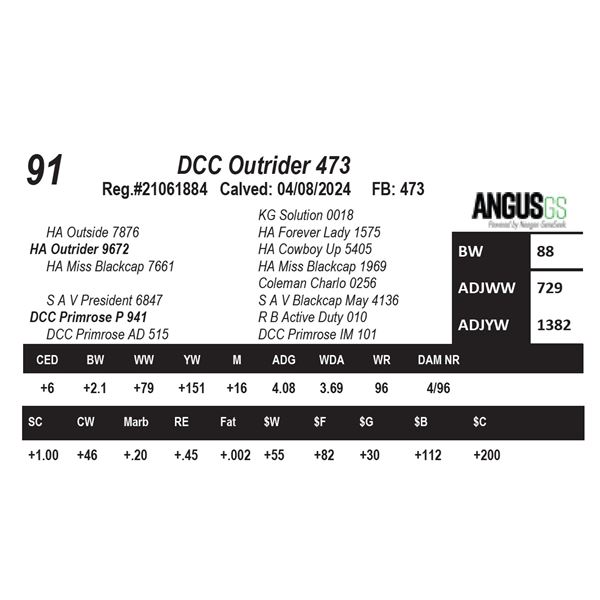 DCC Outrider 473
