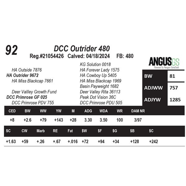 DCC Outrider 480