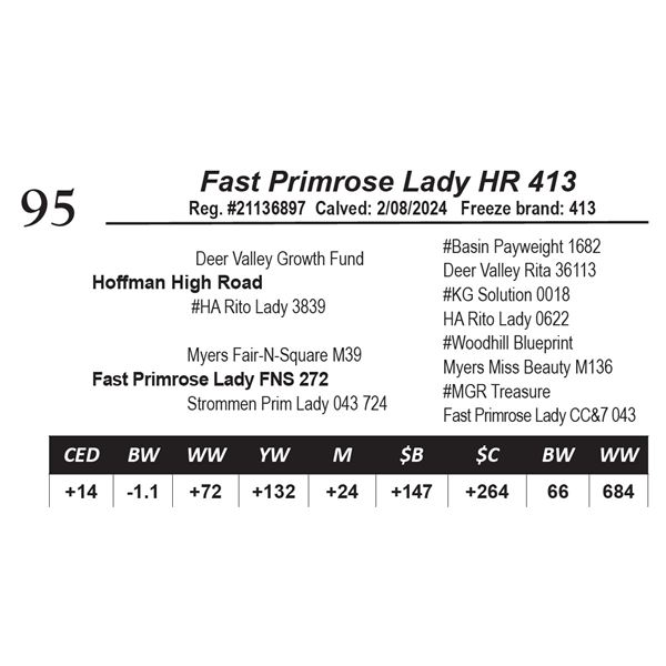 Fast Primrose Lady HR 413