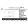 Image 1 : Fast Primrose Lady HR 413