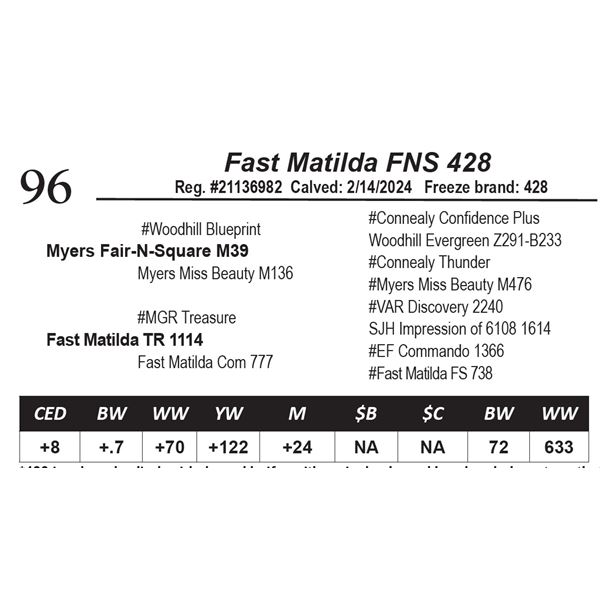 Fast Matilda FNS 428
