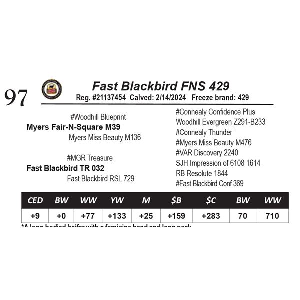 Fast Blackbird FNS 429