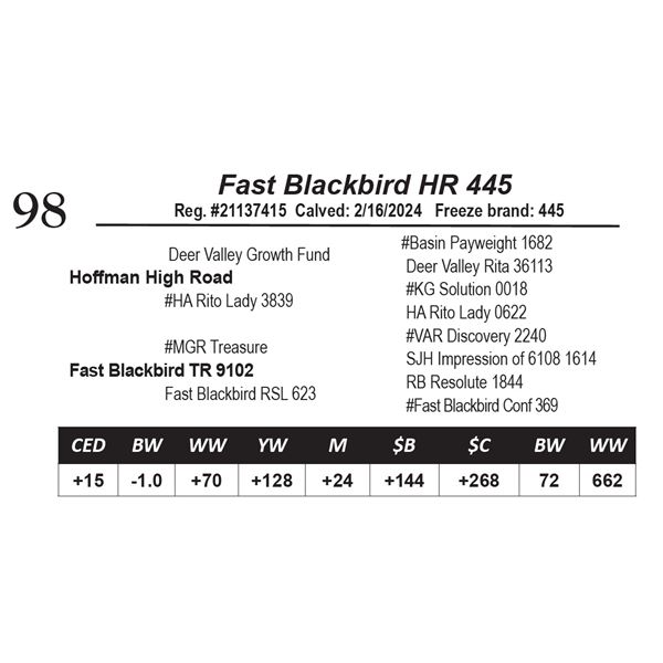 Fast Blackbird HR 445