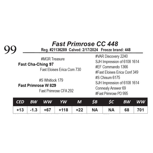 Fast Primrose CC 448