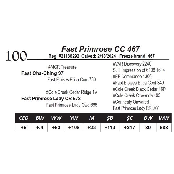 Fast Primrose CC 467