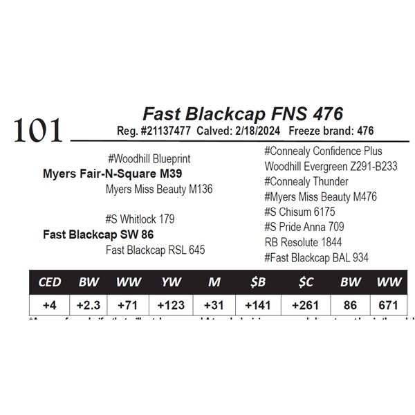 Fast Blackcap FNS 476