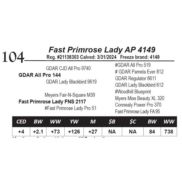 Fast Primrose Lady AP 4149