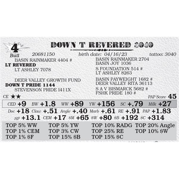 DOWN T REVERED 3040