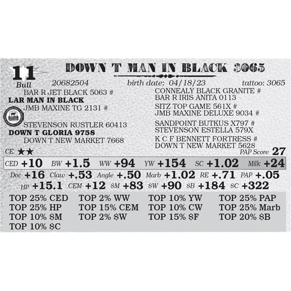 DOWN T MAN IN BLACK 3065