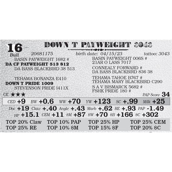 DOWN T PAYWEIGHT 3043