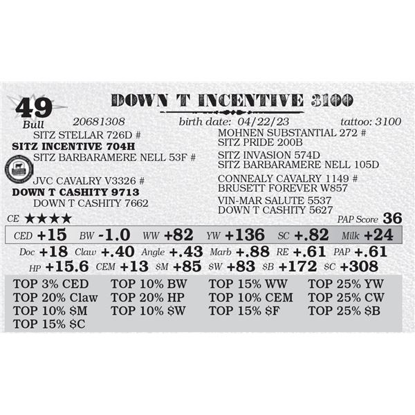 DOWN T INCENTIVE 3100