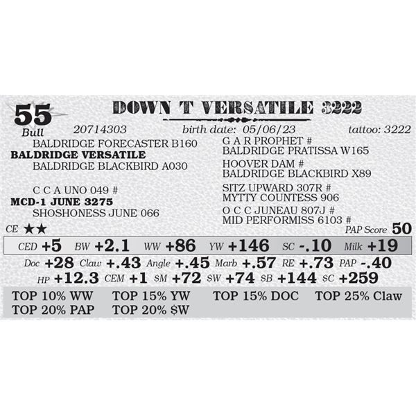 DOWN T VERSATILE 3222