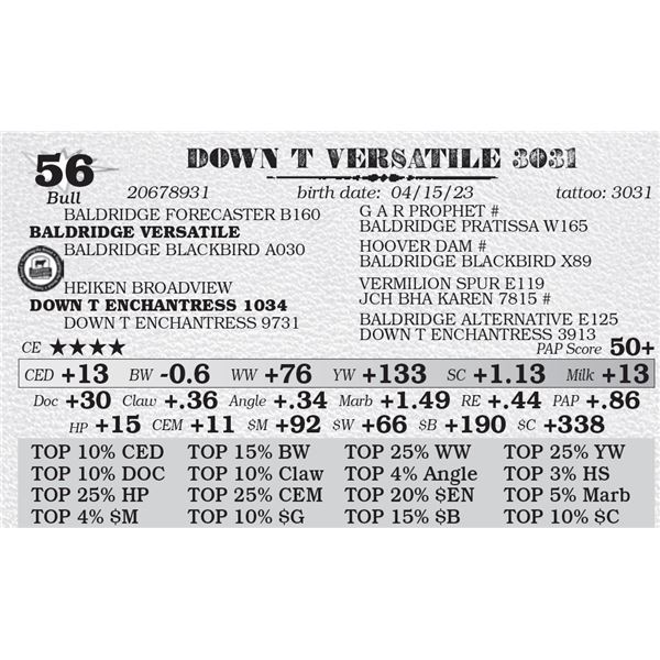 DOWN T VERSATILE 3031
