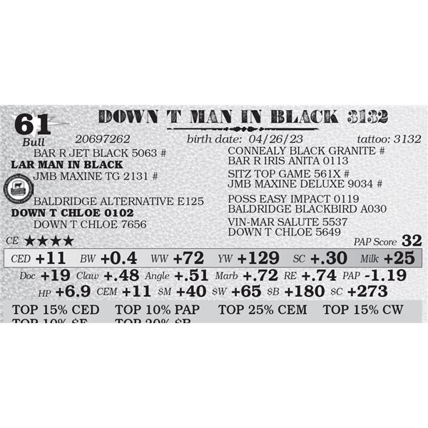 DOWN T MAN IN BLACK 3132