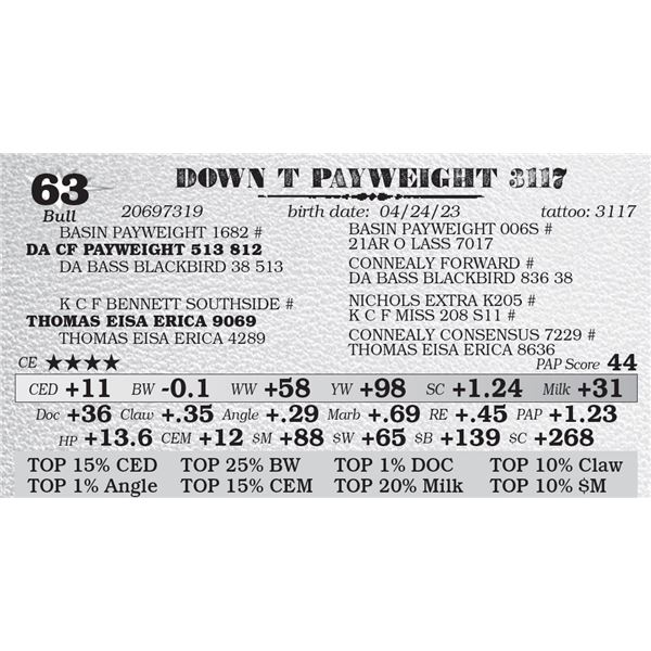 DOWN T PAYWEIGHT 3117