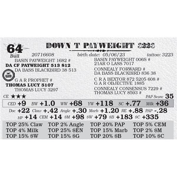 DOWN T PAYWEIGHT 3223