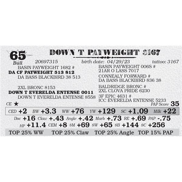 DOWN T PAYWEIGHT 3167