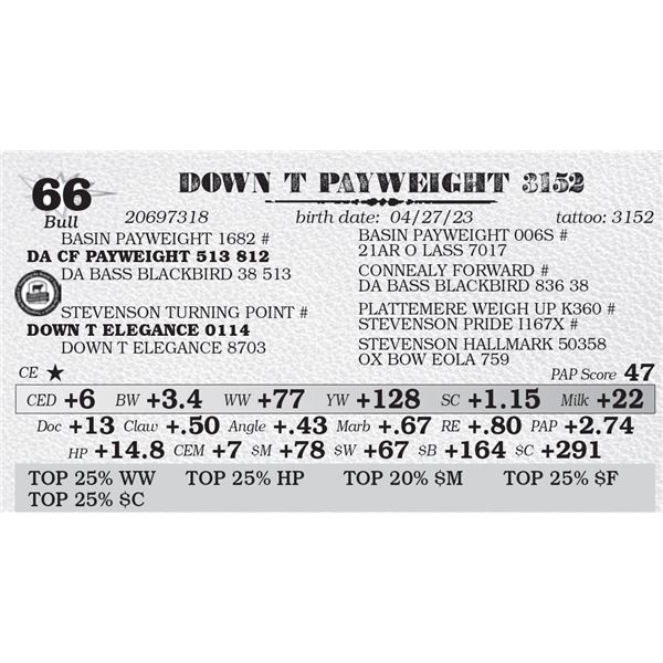 DOWN T PAYWEIGHT 3152