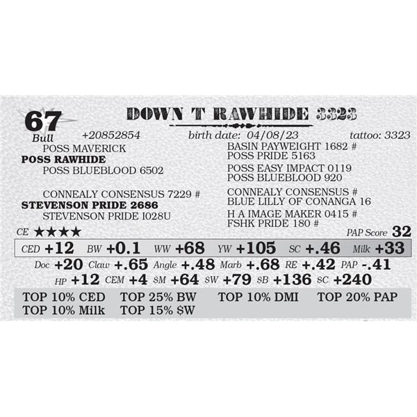 DOWN T RAWHIDE 3323