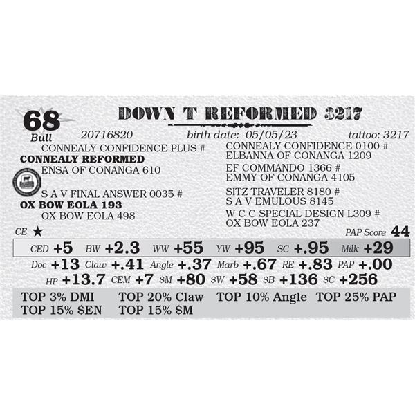 DOWN T REFORMED 3217