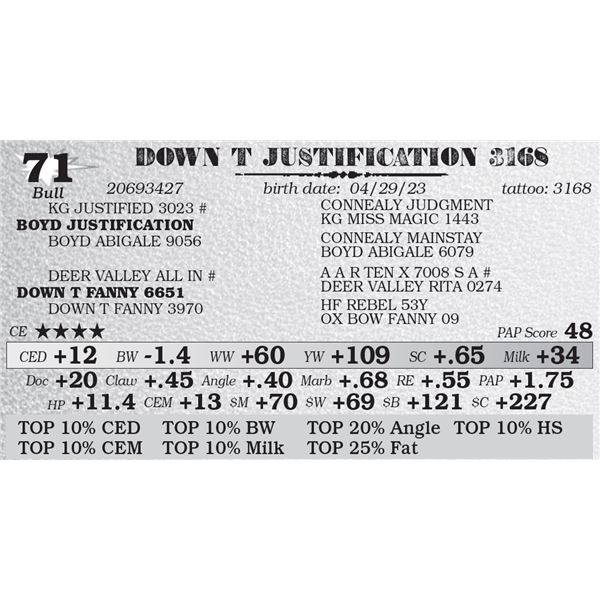 DOWN T JUSTIFICATION 3168