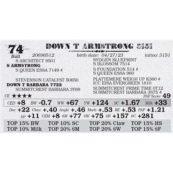 DOWN T ARMSTRONG 3151