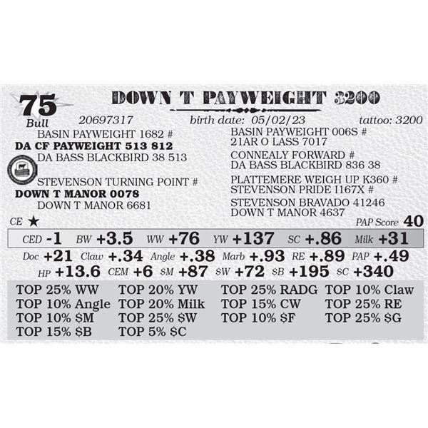 DOWN T PAYWEIGHT 3200