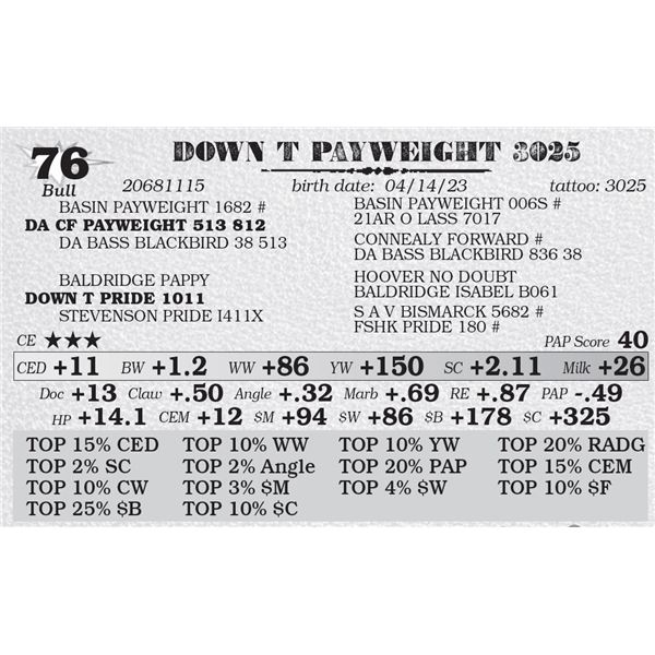 DOWN T PAYWEIGHT 3025