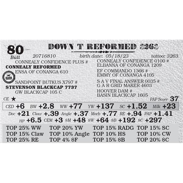 DOWN T REFORMED 3263