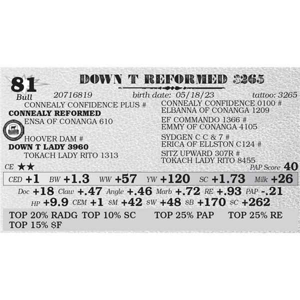 DOWN T REFORMED 3265