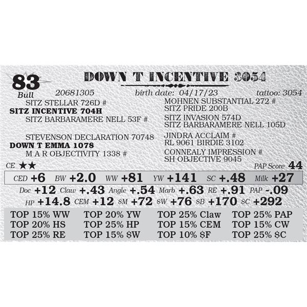 DOWN T INCENTIVE 3054