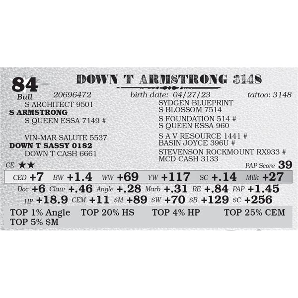 DOWN T ARMSTRONG 3148