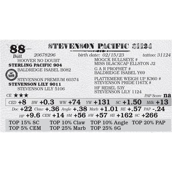 STEVENSON PACIFIC 31124