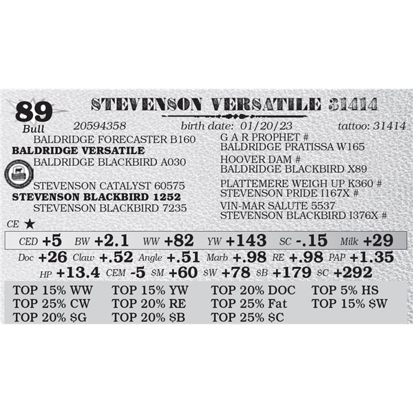 STEVENSON VERSATILE 31414