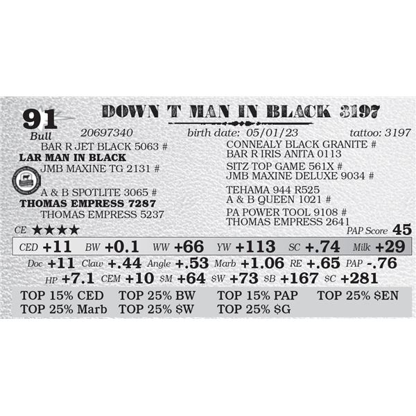 DOWN T MAN IN BLACK 3197