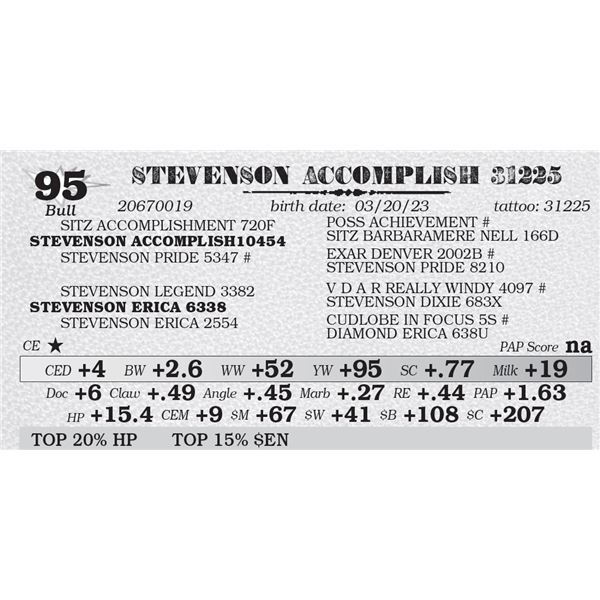 STEVENSON ACCOMPLISH 31225