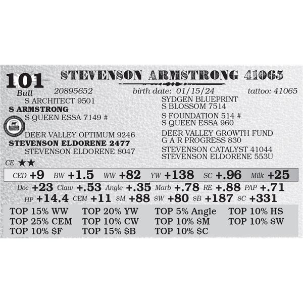 STEVENSON ARMSTRONG 41065