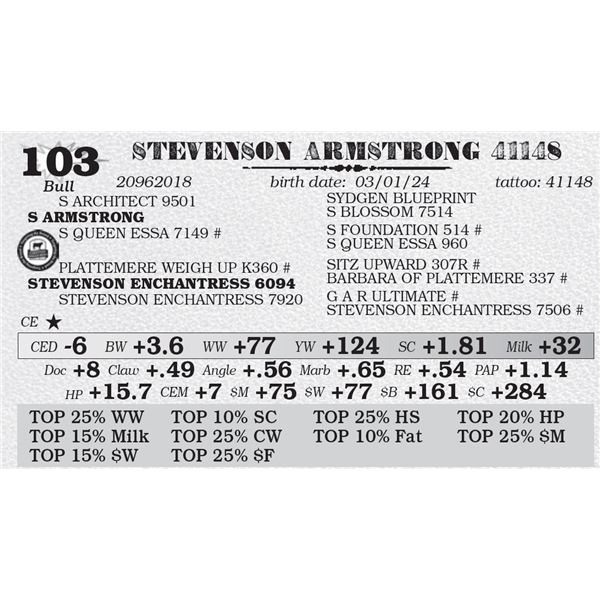 STEVENSON ARMSTRONG 41148