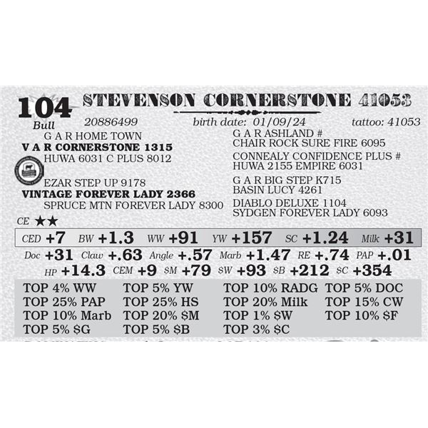 STEVENSON CORNERSTONE 41053