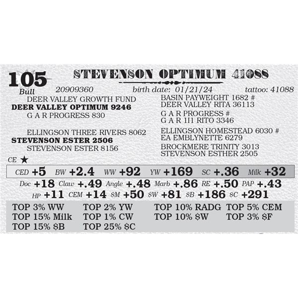 STEVENSON OPTIMUM 41088